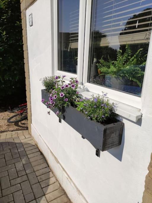 The Old Bar In Wiltshire - 1 Bedroom Guesthouse Τσίπενχαμ Εξωτερικό φωτογραφία